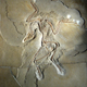 Illustration for article titled A Comprehensive Guide to Dinosaur Feathers and Scales